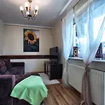 Zakosunflower * Закопане