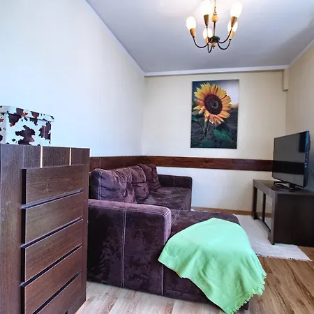 Zakosunflower Apartment