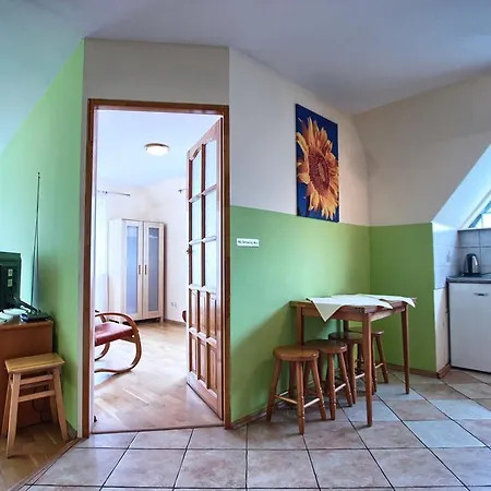 Zakosunflower ザコパネ