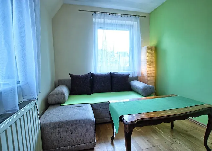 Zakosunflower Zakopane