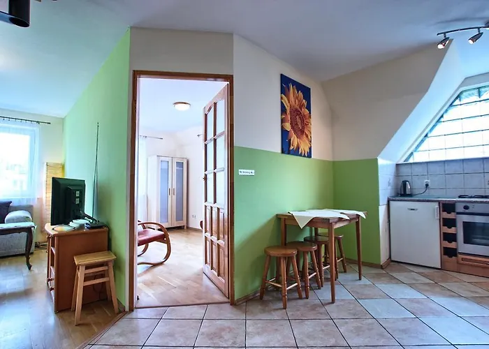 Zakosunflower Zakopane