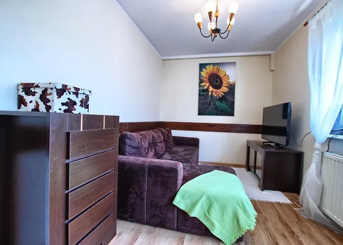 Zakosunflower Apartamento