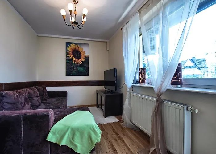 Zakosunflower * Zakopane