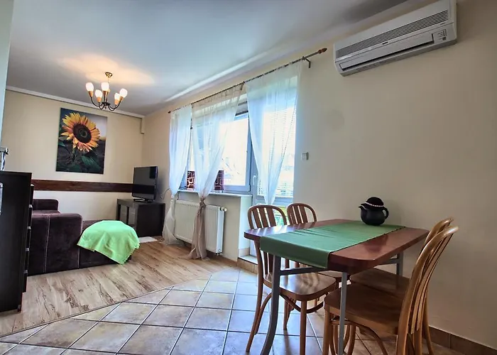 Zakosunflower * Zakopane